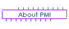 About PMI